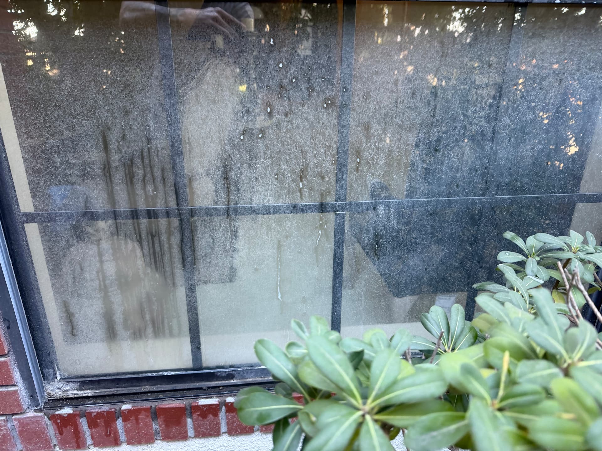 Living room picture window before cleaning