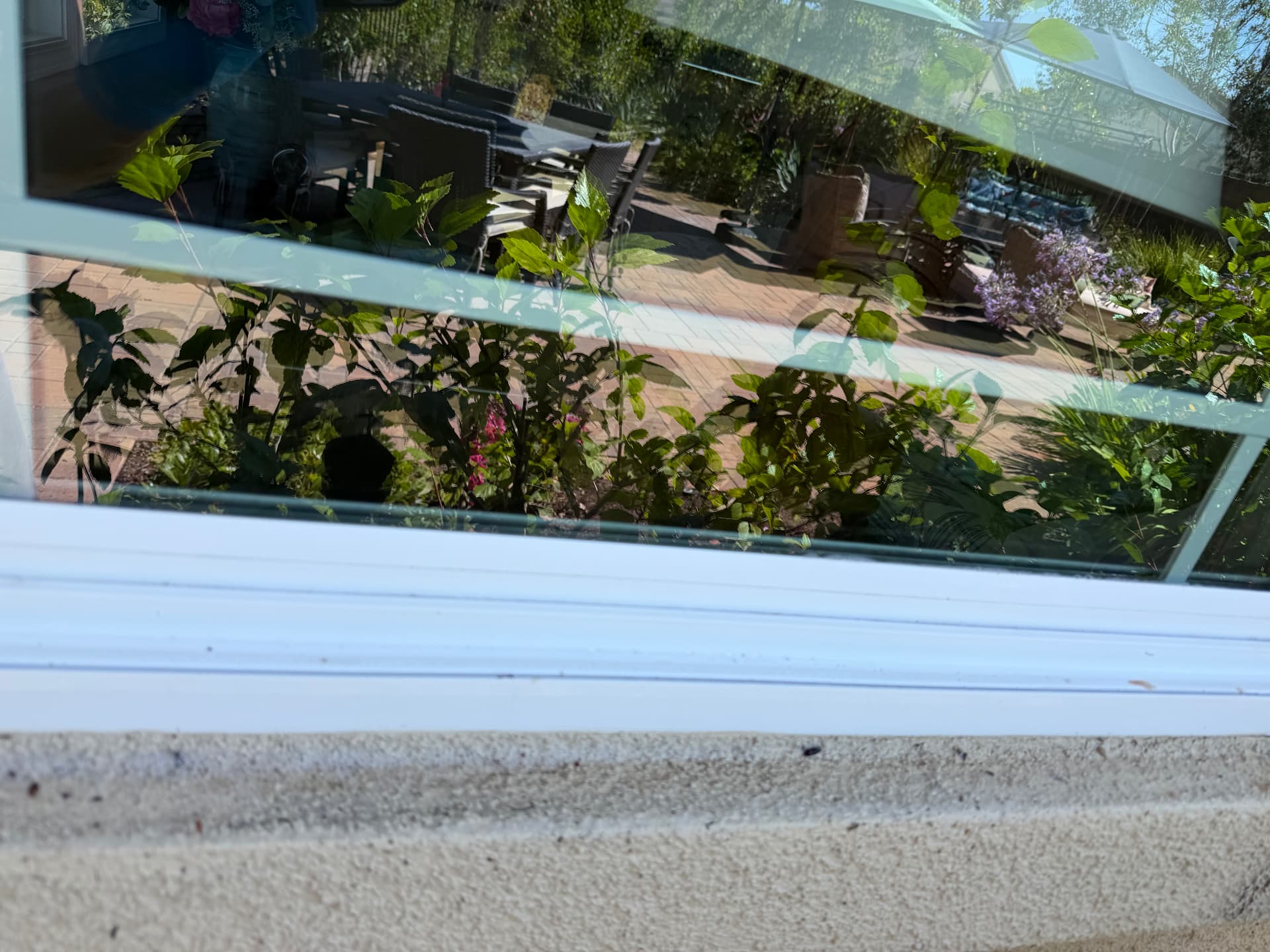 Garden window after cleaning